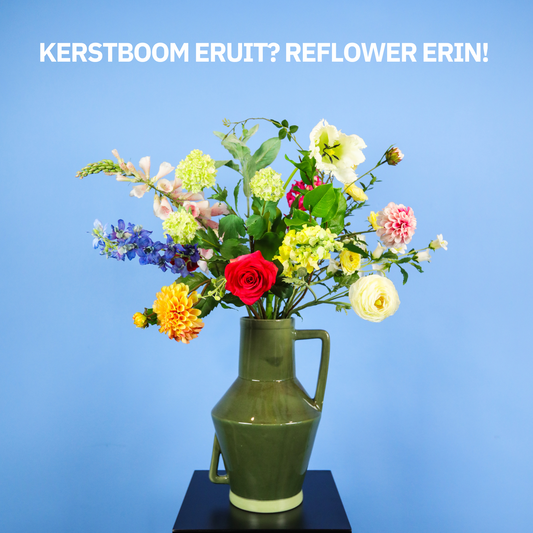 Kerstboom eruit, Reflower erin!