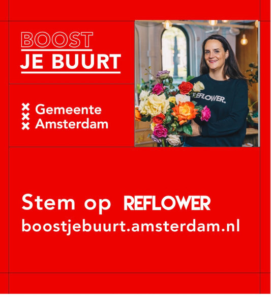 Boost je Buurt | Stem op Reflower