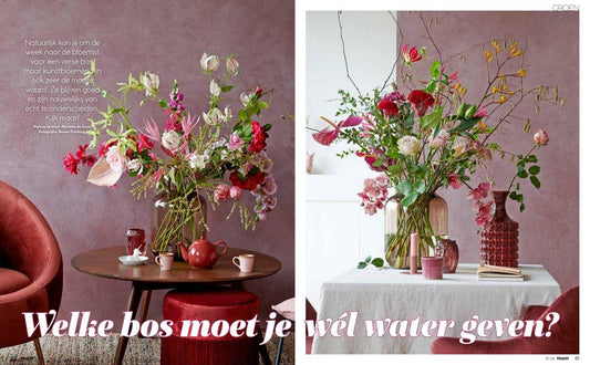 Blijvende Bloemen in Margriet