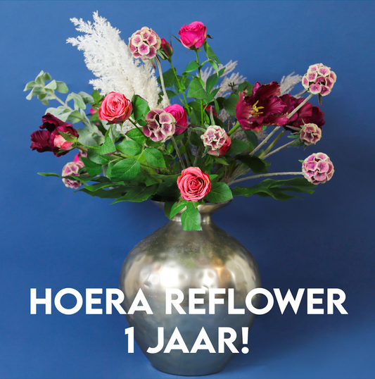 Hoera Reflower bestaat 1 jaar!