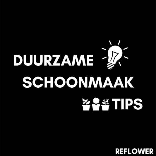 5 tips: Duurzamer schoonmaken & middelen