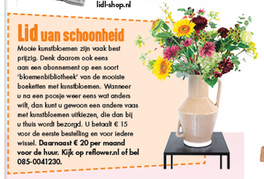 Lid van schoonheid, Max Magazine