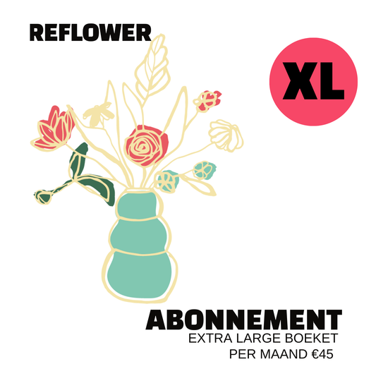 Reflower XL Abonnement | €45 per maand